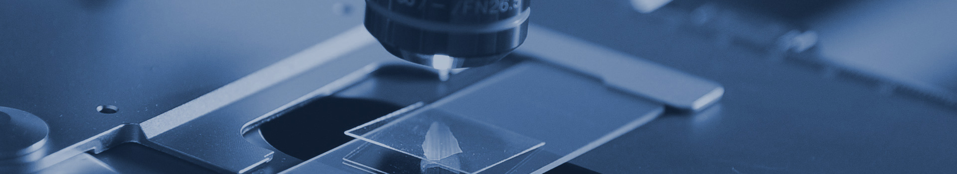 Plastic labs for plastics analysis, plasics research, plastics development studies, experiments such as stiffness testing, leaching studies, packaging testing, leachability, impurities testing, peel strength, viscosity, rheometry, carbon F1F1F1, rockwell hardness, flammability, ignition, thernal expansion, heat deflection, rheology, thermal analysis, flexural modulus, thermal cycling, biodegradability testing in Plastics and Polymers  such as styrene, fibers, HDPE, glues, polycarbonate, composites,  rubber, plastic, monomers, laminates, plasticizers, composites, elastomers, fibers, polyolefins, coatings. 
