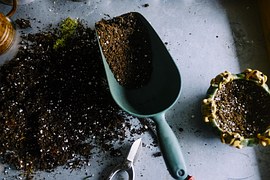 soil testing