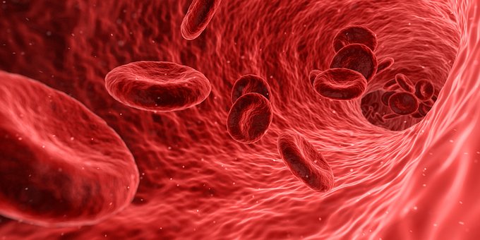 Blood Products Testing