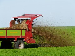 Fertilizer Testing