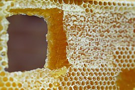 Beeswax Testing