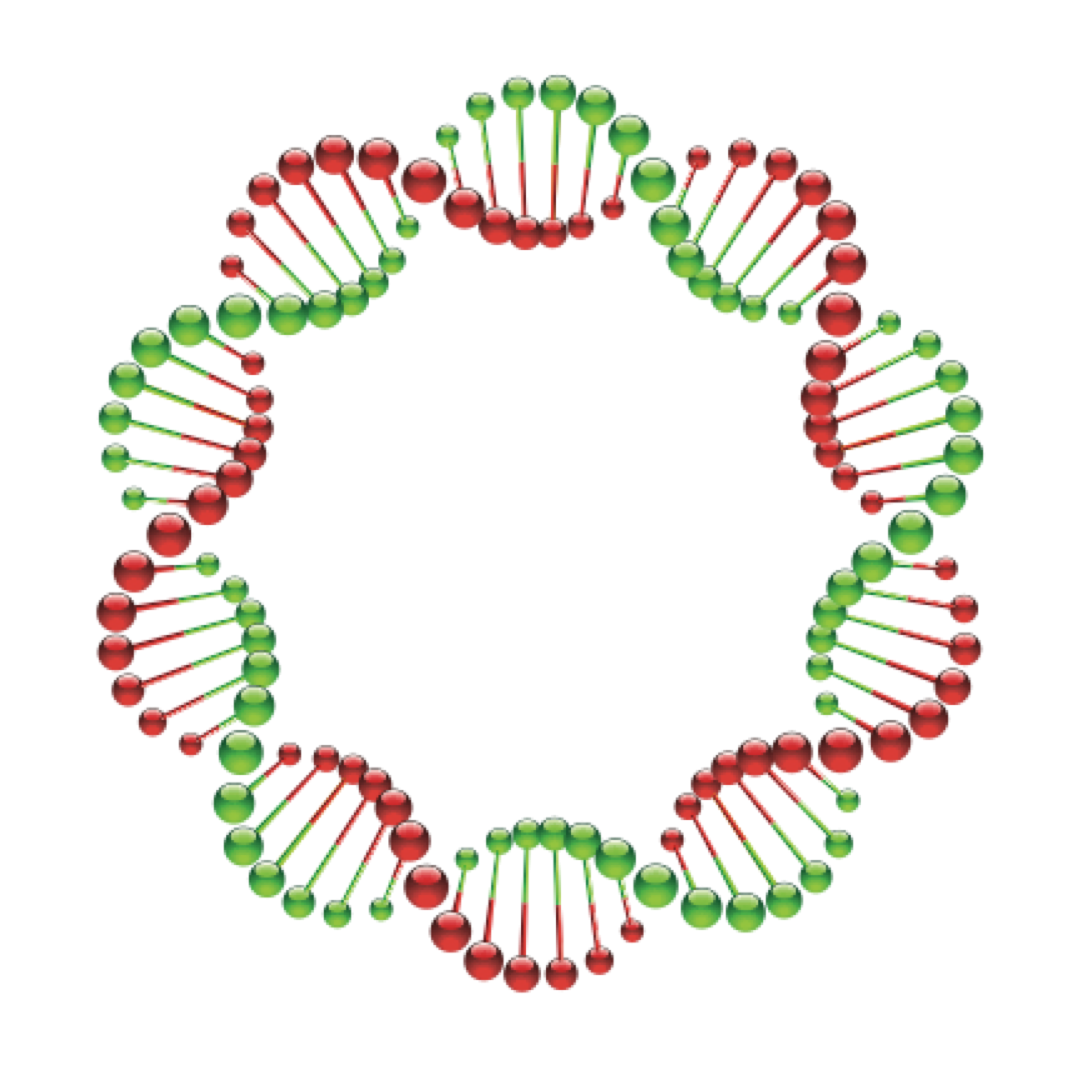 Форма кольцевой днк. Кольцевая ДНК. Спираль ДНК. Кольцевая молекула ДНК. Круг из ДНК.